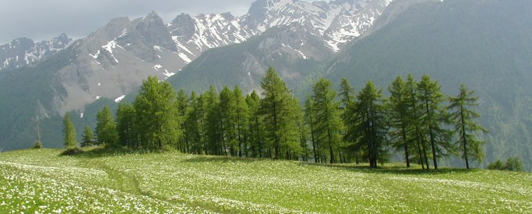 Paysage - Val d'Oronaye