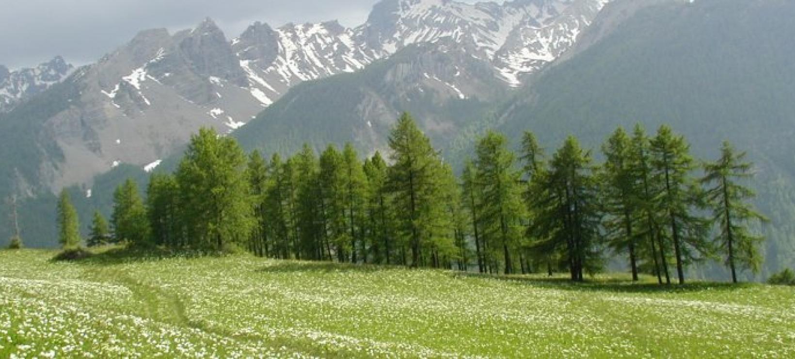 Paysage - Val d'Oronaye