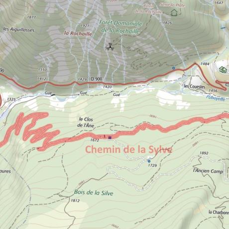 Chemin route de la Sylve