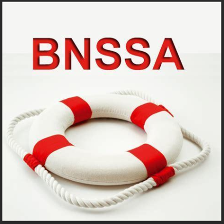 Brevet National de Sécurité et de Sauvetage Aquatique - BNSSA